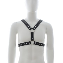 strict leather 4 strap chest harness