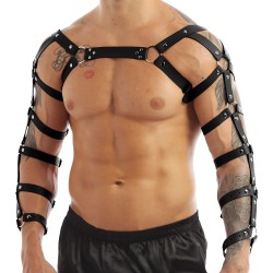 arm-and-shoulder-restraints-harness.jpg