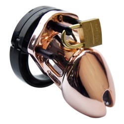 rose-gold-male-chastity-cage-cb6000-cb6000s.jpg