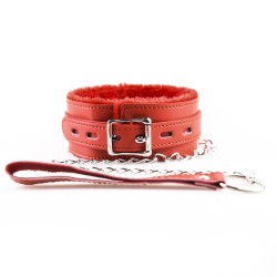 plush-lined-metal-lead-collar.jpg